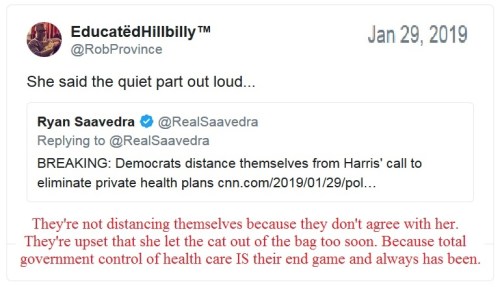 2019_01 29 kamala cat