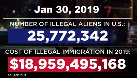 2019_01 30 illegals