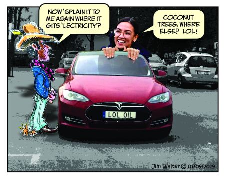 2019_01 aoc electrical coconut trees by jim walter