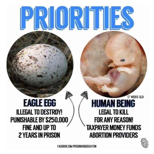 2019_01 18 Priorities