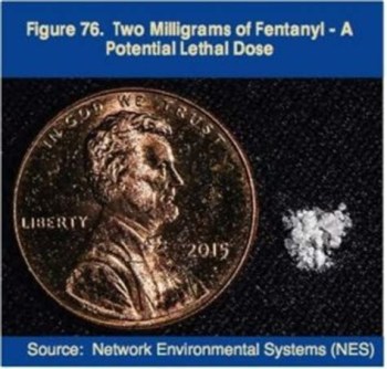 2019_02 01 2 mg fentanyl