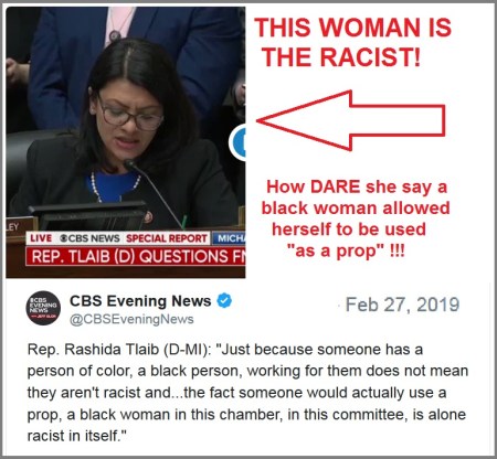 2019_02 27 Rlaib racist