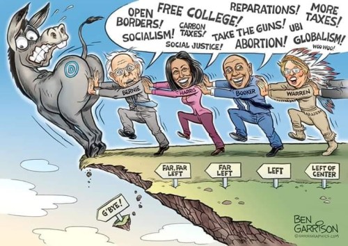 2019_02 Dems going off cliff by Garrison