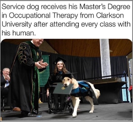 Service dog grad