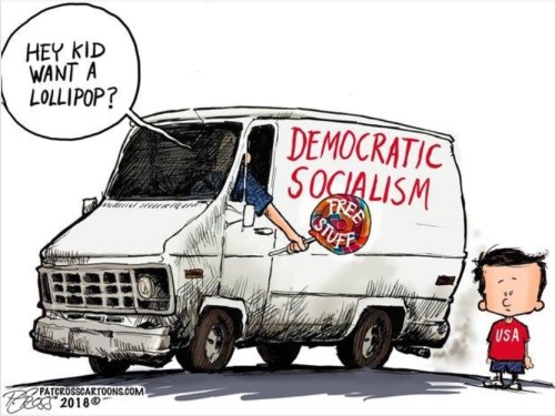 SOCIALISM white van toon