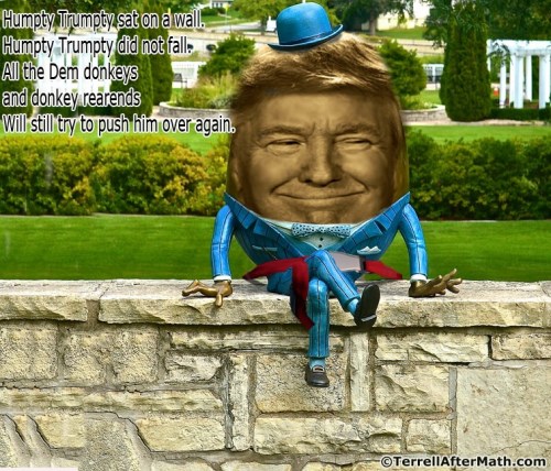 2019_03 30 Trump on wall by Terrell