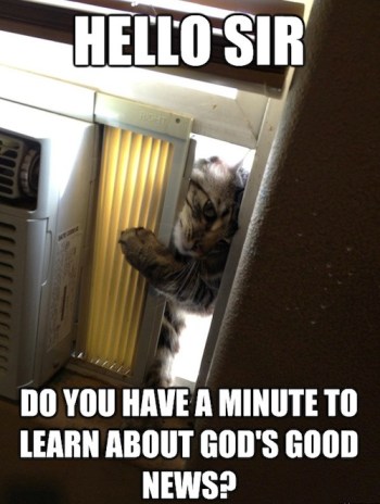 CAT Jehovah Witness - PN