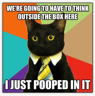 CAT Outside the box - pooped