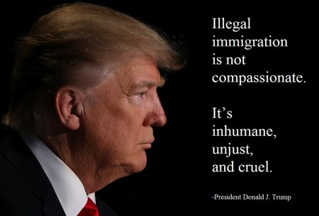 Trump illegal imm cruel