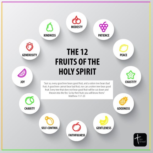 12 fruits