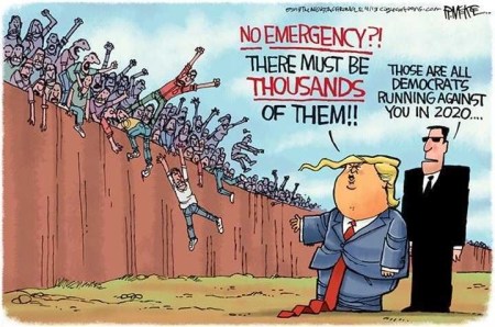 2020 candidates toon