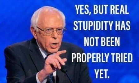 BERNIE stupid