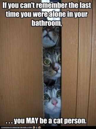 CAT alone in bathroom