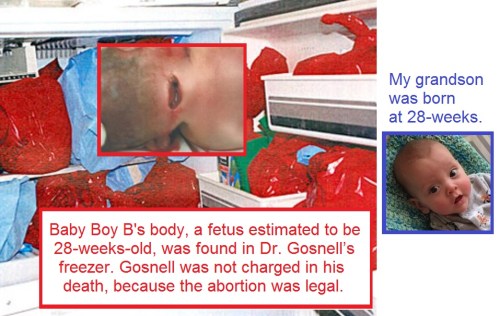 Gosnell Baby Boy B freezer