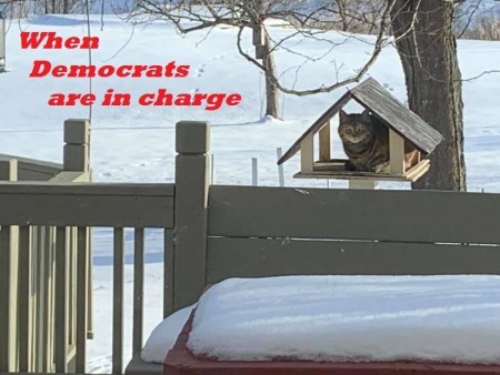 When democrats are in charge