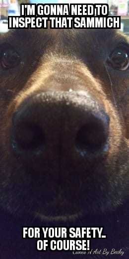 DOG sammich inspector