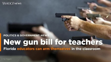 florida gun bill