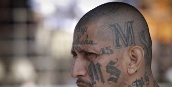 ms 13