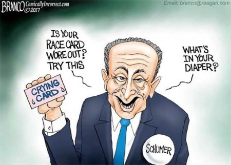 Schumer diaper