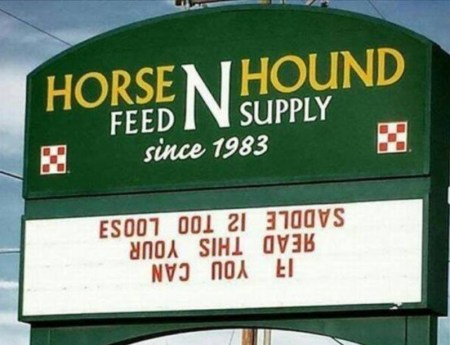 SIGN Saddle too loose