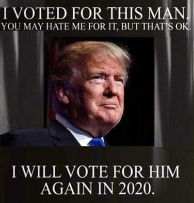 Trump I voted for him