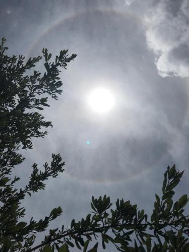 2019_06 18 circle rainbow pic by M