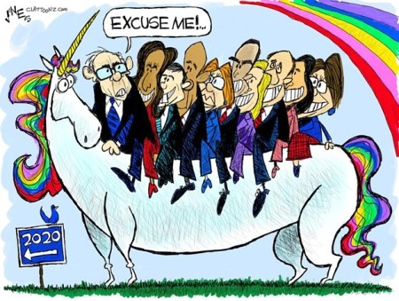 2020 Dem unicorn