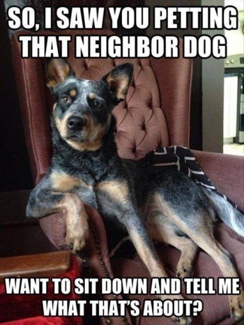 DOG Petting neighbor dog