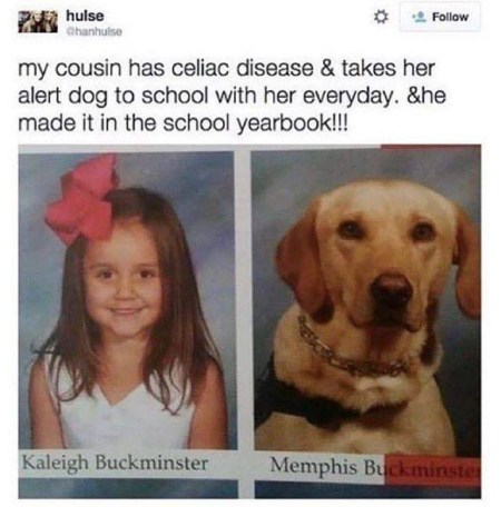 DOG yearbook