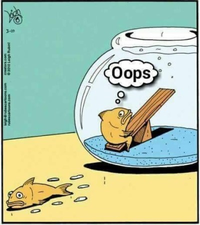 FISH oops