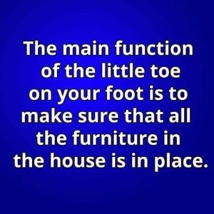 function of little toe