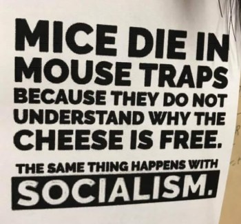 Socialism mice