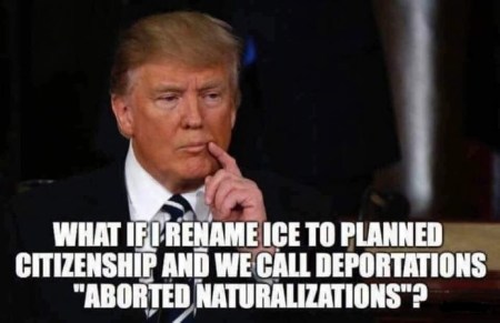 Aborted naturalizations