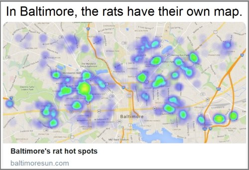Balt rat map