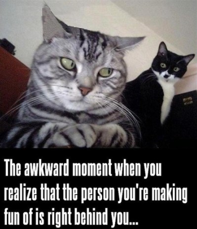 CAT that awkward moment