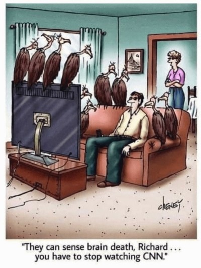 CNN brain death