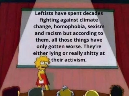 democrats bad at activism