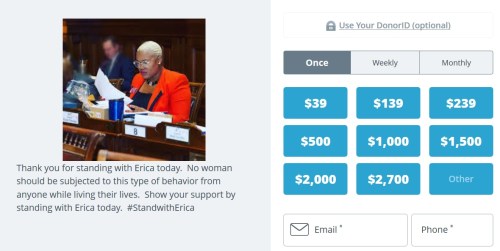 donate to erica