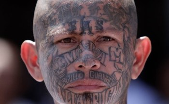 MS-13