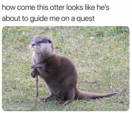 otter