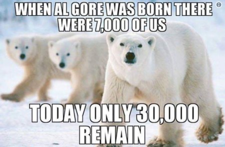 Al Gore polar bears
