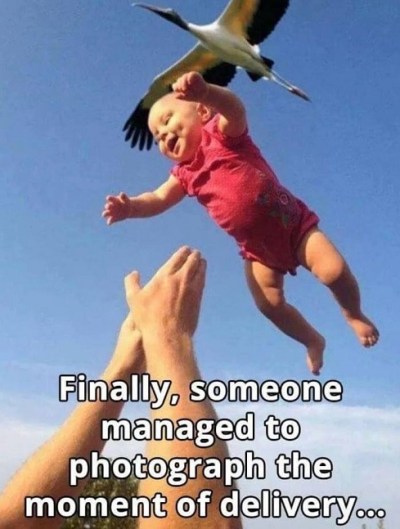 BABY stork delivery