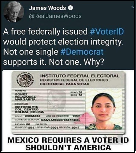 voter id
