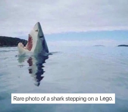 2019_09 09 SHARK Lego