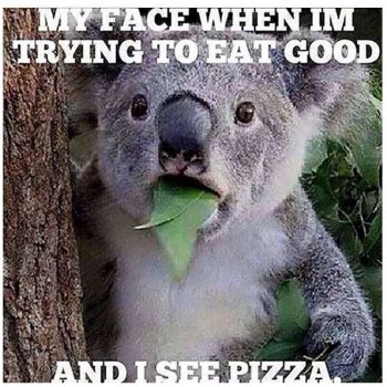 2019_09 13 koala pizza