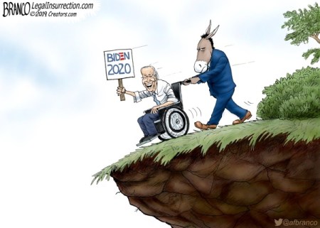 2020 BIDEN cliff by Branco