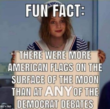 2020 Dems and flag