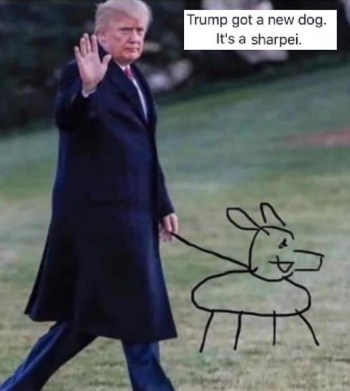 2020 TRUMP sharpie joke