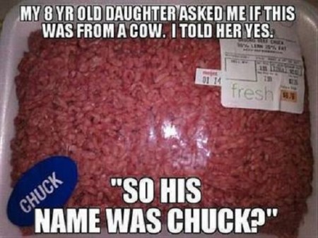 COW named Chuck