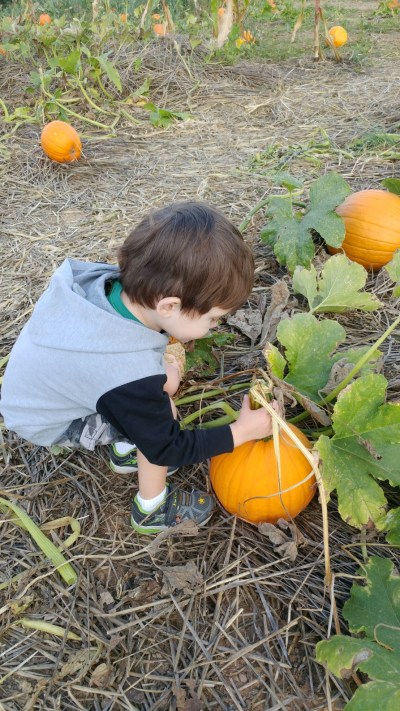 2019_10 05 bootz pumpkin picking